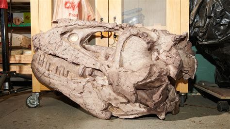 why dinosaurs are fake